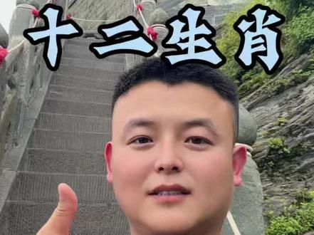 十二生肖#茅二八书法 #封号道人 @茅二八 @封号道人3(长期号)