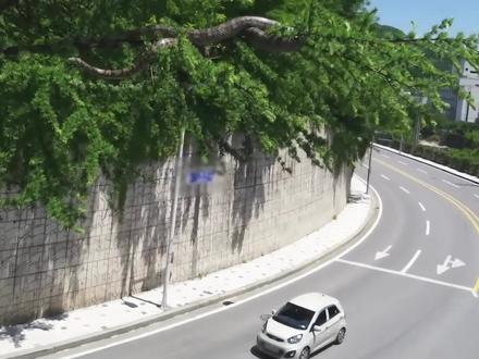 他拍到一张诡异照片,大树出现一条巨蛇#奇闻奇事