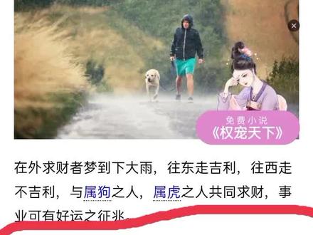 昨晚梦见下大雨 😏😏