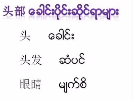 头部身体器官#缅甸语#缅甸语学习