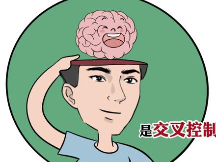 牛顿其实没被苹果砸?盘点四条令人深信不疑的谎言!#轻漫计划 #谎言 #真相 #涨知识 #冷知识