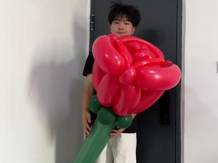 昆明/超大气球玫瑰教程