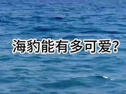 关于海豹 你不知道的事#海洋生物