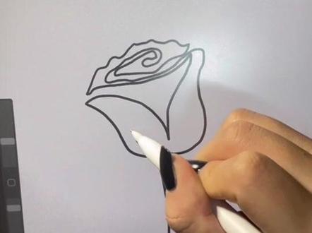 #一起get一笔画玫瑰技巧 😂一笔画玫瑰挑战翻车现场#画画练习打卡 #procreate绘画 #零基础学画画 #绘画过程分享 #画渣进步史 #一学就会的简笔画 #绘画过程