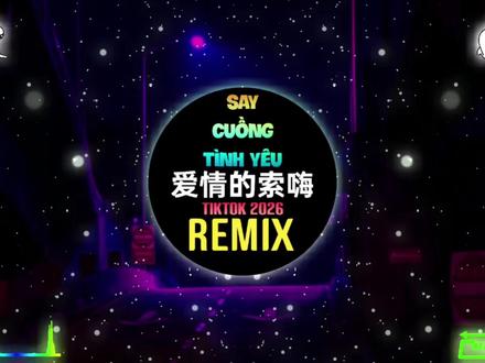 爱情的索嗨 (DJ抖音版2025)