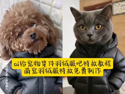 AI 萌宠一键穿羽绒服特效教程!!!
AI 萌宠一键穿羽绒服 ai 萌宠穿羽绒服 #小狗羽绒服 宠物加绒外套 ai 萌宠一键穿羽绒服 狗狗冬季羽绒服宠物狗保暖外套 AI 萌宠一键穿羽绒服特效教程!!!
天冷了给家里小动物穿件羽绒服萌宠穿羽绒服 ai 特效 Ai 萌宠穿羽绒服一键免费制作入口萌宠换装 ai 特效萌宠一键穿羽绒服 ai 特效宠物 ai 特效拍同款 ai 萌宠变装萌宠特效视频萌宠穿羽绒服 AI 萌宠一键穿羽绒服特效教程 ai 萌宠穿羽绒服#即梦ai 小狗羽绒服#宠物加绒外套#ai萌宠一键穿羽绒服#狗狗冬季羽绒服宠物狗保暖外套Ai 萌宠一键穿羽绒服特效教程天冷了给家里小动物穿件羽绒服 ai 萌宠穿羽绒服ai 萌宠一键穿羽绒服特效狗狗羽绒服狗狗羽绒服冬季加绒加厚小型犬冬季棉衣鹦鹉羽绒服泰迪狗狗衣服网红爆款宠物潮流羽绒服宠物乌龟的小衣服 ai 萌宠穿羽绒服怎么做 ai 萌宠一键换装宠物穿羽绒服猫咪穿羽绒服 ai 萌宠一键穿羽绒服入口宠物可爱羽绒服萌宠穿羽绒服教程 AI 萌宠制作特效天冷了该给宠物们穿棉衣了萌宠一键穿羽绒服宠物加厚包肚羽绒棉服天冷了给家里小动物穿件羽绒服教程天冷了给家里小动物穿件羽绒服 ai 萌宠一键穿羽
绒服制作教程来啦!ai 萌宠一键穿羽绒服宠物加绒外套 小狗羽绒服ai 萌宠穿羽绒服萌宠