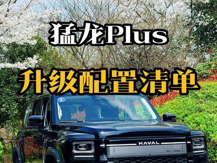 猛龙Plus配置解读,有两项配置让人意想不到 #哈弗猛龙 #家用方盒子怎么选 #新车上市抢先看 #长城猛龙PLUS