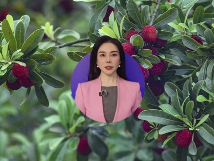 杨梅“泡药”砸了十亿级产业,信任重建之路远不止45天