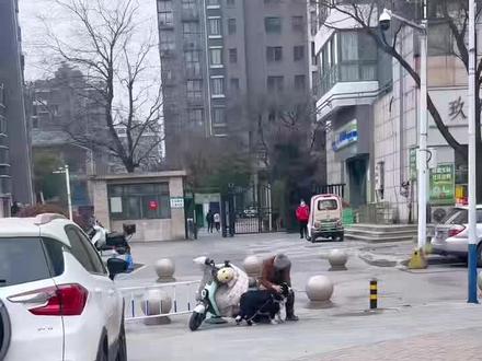 天山绿洲走丢边牧后续~偶遇主人!狂奔相认的缘分太好哭
还好我们都没放弃
带着狗狗去洗澡的路上,遇到主人回来找,叫了一声小黑,他就狂奔过去了~世界上的缘分就是这么奇妙,幸好我们都没有回来放弃她,希望所有修狗都能幸福一辈子🙏#边牧日常 #流浪动物救助#狗狗救助 #狗狗是生活的解药