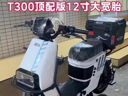 深远T300顶配版,堪称一绝外卖神车 #动力#真空胎 #T300#深远电动车 #广东牌