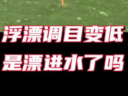 浮漂调目变低了,是浮漂进水了吗?