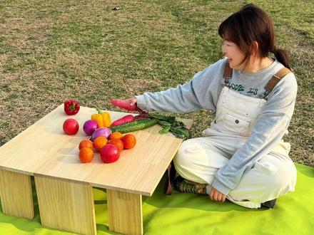 手工DIY折叠储物露营桌 附图纸 #手工diy #露营桌 #抖音宝藏生活家 #手工人的奇思妙想 #变废为宝手工