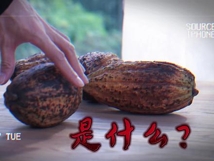 你吃过带甜味的土吗??可可豆真的可以做巧克力吗?#抖音美食创作人 #可可豆