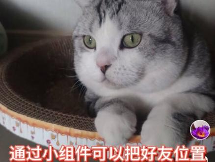 这官方能处,小组件他说做就做😍 #app推荐 #情侣 #异地恋 #jagat果汁 #官宣