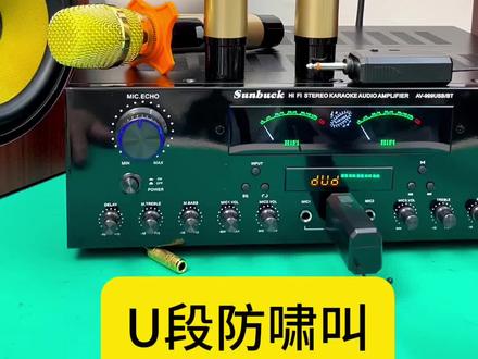 新款金属U段防啸叫无线充电麦克风#麦克风