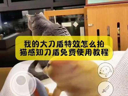 别找了别找了,我的大刀盾特效怎么拍,猫感知刀盾使用教程来了,方法很简单#猫咪感应刀盾 #猫咪感应刀盾特效教程 #我的刀盾 #我的刀盾特效教程 #剪映 猫感知刀盾 猫感知特效 猫感知刀盾测试 猫感知刀盾科学解释 猫感知特效猫感知刀盾特效 猫感知刀盾 猫感知刀盾视频 猫感知刀盾游戏 猫感知刀盾小猫 猫感知刀盾科学解释 猫感知刀盾测试 猫感知刀盾使用教程猫感知刀盾原理 我的刀盾特效猫咪感应刀盾特效 猫感知刀盾科学解释 猫感知刀盾视频 刀盾狗 我家那一身反骨的猫咪 刀盾特效怎么使用 猫咪动画片 猫感知刀盾特效素材猫感知刀盾特效是为什么 猫感知刀盾特效视频 熊大特效 猫感知刀盾特效玩具 猫感知刀盾特效获取方法 猫感知刀盾特效制作教程 我的刀盾特效 猫咪感应刀盾特效 弓箭特效 刀盾特效拍同款 我的刀盾vr特效入口 猫感知刀盾科学解释 毛孩子我的刀盾感应力 猫感知刀盾 猫看见刀盾特效 猫能察觉我的刀盾 猫感知刀盾游戏 猫感知刀盾特效视频 猫感知隐身特效 猫感知刀盾的科学实验 猫感知刀盾怎么获得 猫如何感知刀盾 猫咪感知刀盾狗实验 猫感知特效制作教程 猫如何感知刀盾 猫感知刀盾特效视频 猫感知隐身特效 猫感知地震 宠物猫感应刀盾使用技巧 猫咪感知刀盾狗实验 猫反应刀盾 刀盾狗特效 刀盾特效怎么拍 猫感知刀盾原视频在哪看 猫咪感应刀盾特效 猫咪感知刀盾狗实验 猫感知刀盾科学解释 我的刀盾音效我的刀盾特效 我的刀盾歌曲 我的刀盾特效拍同款 我的刀盾特效拍同款AI视频 我的刀盾特效拍同款怎么弄 我的刀盾特效在哪里找 我的刀盾特效打人 我的刀盾特效拍同款猜 我的刀盾特效拍同款小狗特效 立体我的刀盾特效拍同款