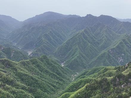 秦岭七十二峪之沣峪 沣峪,位于西安市长安区西南部,距西安市区35公里,发源于秦岭终南山主脊,峪口以上流域面积169平方公里,河流长度30公里,多年平均径流量7300万立方米,“西安八水之一”的沣河发源于此。峪内有沣德寺、净业寺、观音山、九鼎万花山、九龙潭、石羊关、分水岭等自然和人文景点。
净业寺,位于沣峪口内约2公里处的凤凰山山腰,是佛教律宗祖庭之一。寺院始建于隋朝,距今已有1400多年的历史,唐初成为高僧道宣的弘法道场。相传,道宣在此修习定慧时,因挖地得泉,故初名“白泉寺”,后更名为净业寺。净业寺历经多次兴废,1976年后逐渐得到修复。
寺院的山门由著名建筑大师张锦秋设计,典雅庄重。寺内主要建筑包括天王殿、大雄宝殿等,院东为斋堂,院西原有禅堂。寺前有一株千年古槐树,因起死回生被命名为“苏醒槐”;院内猫咪成群,享受被撸。
从山门开始登山,沿石阶而上,需约1小时才能到达寺内。
九鼎万花山,位于沣峪内的黑沟、北石槽沟,海拔2000米,距离峪口约19公里。相传明朝万历皇帝(即明神宗朱翊钧)的生母李娘娘曾在此山修行得道成仙,万历皇帝为纪念母亲,在山上修建了王母宫(黑沟内)和圣母殿(山顶),并赐山名为万花山。因山上有九个形态各异的险峰,又被称为九鼎万花山。
景区免费,里面森林繁茂,原始生态保护完好。群峰竟秀,层峦叠翠,奇松异石,天然巧成,故号称秦岭的“小黄山”。沿途佛教和道教庙宇林立。上山大约需要2.5~3小时,下山约1.5~2小时,往返路程大约9公里。
石羊关,距离沣峪口约21公里,因山顶有一块酷似山羊的巨石而得名,是子午古道的第一道关隘,关口处立有牌坊,上书“石羊关”三个大字。这里地理位置特殊,两座雄伟的山峰如同一扇石门,矗立在公路两侧,有“一夫当关,万夫莫开”之势。石羊关始建于西汉新莽政权时期,自古为汉唐子午驿城,宋、元、明、清历代常有官兵把守。
这里没有设停车位,只能开车游览或把车停到300米处的喂子坪,走路下来拍照打卡,公路无人行道,需注意安全。
分水岭,位于秦岭山脉的主脊部分,距离沣峪口约33公里,海拔2000米。
这里是长江流域和黄河流域的分水岭,分水岭以南的河流属于长江水系,如汉江、嘉陵江等;以北的河流则属于黄河流域,如渭河、洛河等。
分水岭是G210国道越过秦岭主山脊处的一个重要节点,这里地势高峻,气候多样,沿途风景美不胜收,植被富有层次感,垭口处时常有云海,被