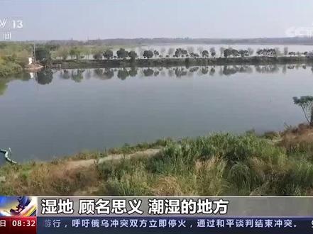 湿地一定是天然形成的吗?什么是湿地?长江、黄河等河湖水体算不算湿地?#湿地 #保护生态环境 #生态宜居