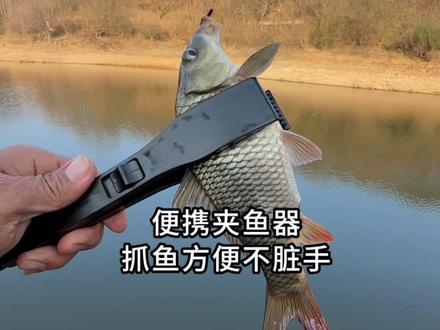 便携夹鱼器,锯齿内扣设计,抓鱼摘钩不脏手,方便好用。#活鱼夹 #夹鱼器 #钓鱼人 #渔具用品