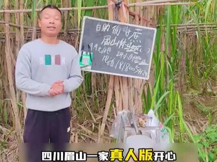 给点思路,ai还是干不过人脑🧠#新农人计划 #偷甘蔗