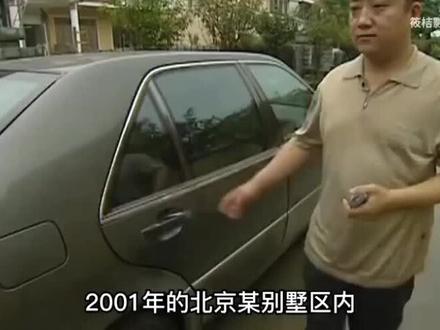 吃上时代红利的一群人!#社会百态 #顶流