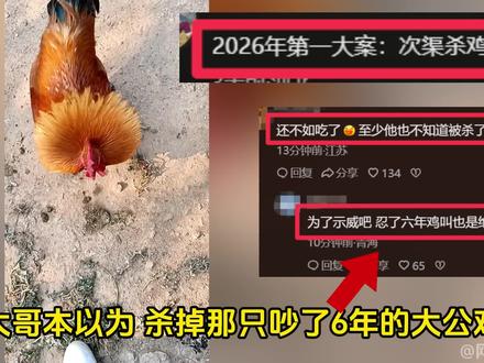 2026第一大案:次渠嘉园杀鸡案! #次渠嘉园 #大公鸡 #养鸡 #离谱 #万万想不到