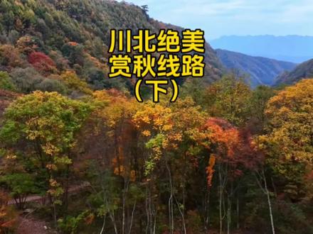 川北绝美赏秋线路(下)旺苍光头山 曾家鸳鸯池森林公园#旅行推荐官 #红叶🍁 #秋天 #自驾游攻略 #四川旅游推荐