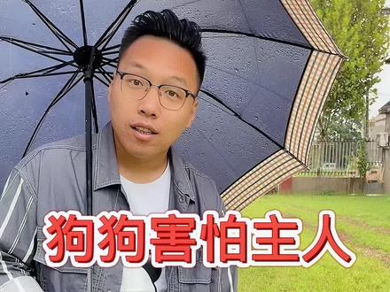 狗狗害怕主人,应该从自身找问题。#训犬 #萌宠 #狗狗 #宠物训练