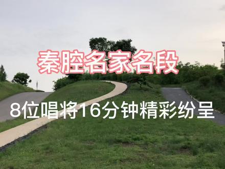 秦腔名家名段,8位唱将16分钟精彩纷呈
