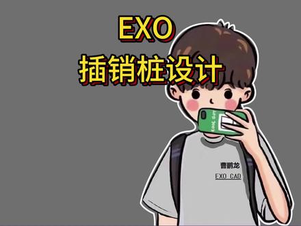 12月11日 EXO插销桩分体桩设计