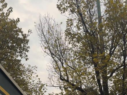 farewell“告别” 订好了车票,意味着“告别”#抖音校园 #速记单词