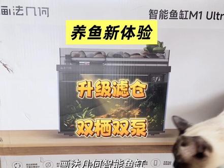 大升级!智能鱼缸新体验,内外兼修还能养植物 #画法几何智能鱼缸 #鱼缸过滤 #鱼缸推荐 #开缸日记 @DOU+小助手
