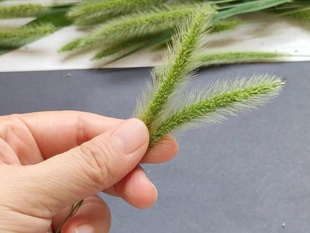 哄娃神器,狗尾草编只小兔子#亲子 #亲子互动 #幼儿园 #手工