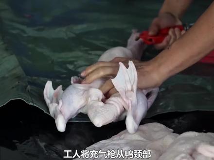 《脆鸭皮》 脆鸭皮是如何烹饪出来的#工艺 #加工过程