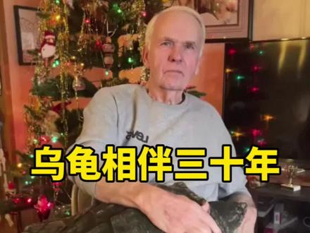 神宠从小养到大,从黑发到白发#乌龟 #奇闻趣事 #海外观察