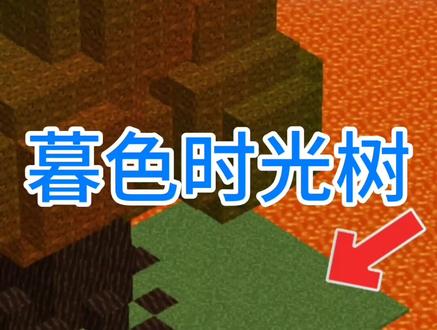 要先打比九头蛇前一个的boss#mc #游戏 #我的世界