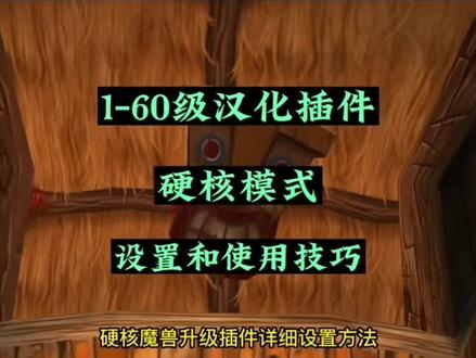#魔兽世界 升级插件设置