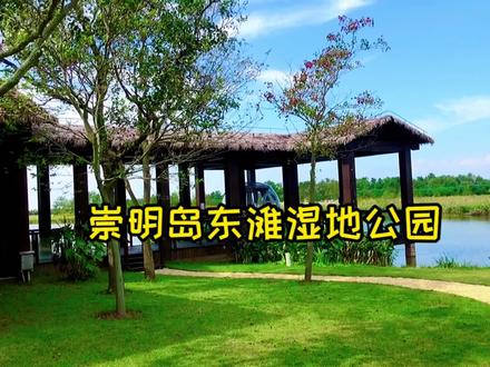 可谓是上海市的后花园,竟然有这么一方美丽的去处