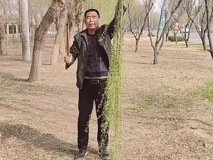 纯手工柳条馒头筐#编一个能用好多年#编织篮子的方法 #创作者中心 #创作灵感 @巨量引擎小助手 @抖音小助手 @抖音来客 @云赏编织 @@爱编莲姐