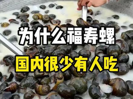 为什么在东南亚深受喜爱的福寿螺,在国内却很少有人吃?孟加拉国的处理方式,就非常值得借鉴和学习。#科普 #涨知识