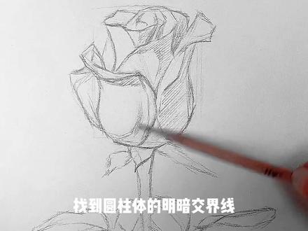 素描玫瑰花🌹你学废了嘛
#素描#玫瑰花#零基础学画画