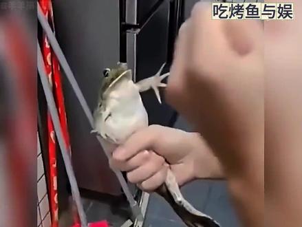 盘点那些不干人事的人类 #搞笑视频 #扶持新人计划