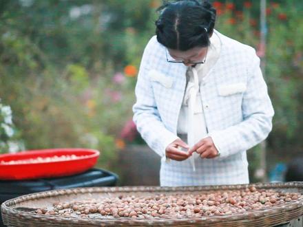 耗时两个月的橡子豆腐终于吃上啦!年底太忙,今儿终于发一下库存 #橡子豆腐的制作过程 #橡子豆腐的功效与作用