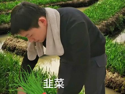 “原来山东人都是不知火舞” #抽象 #不知火舞 #不知火舞梗二创大赛 #山东 #原来不知火舞是山东人 @DOU+小助手