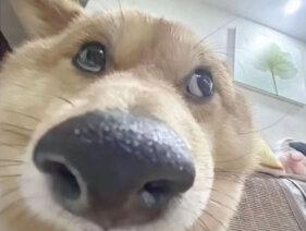 如果注定要分离,那相逢的意义是什么?#树洞 #相逢的意义