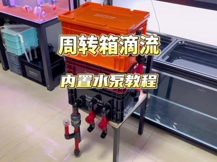 周转箱内置水泵滴流过滤保姆级教程来咯,超详细。#鱼缸过滤 #过滤系统 #周转箱 #周转箱过滤#水族爱好者