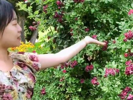 赛拓科创·暑期课程·小牛顿启蒙科学(幼儿)·《植物里的科学》,热爱科技的宝贝们快来呀😎#科学实验 #小实验 #科技改变生活