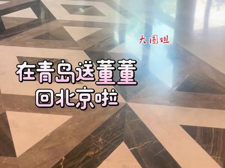 青岛送董董回北京啦#兰知春序 #与辉同行 #董玉琢