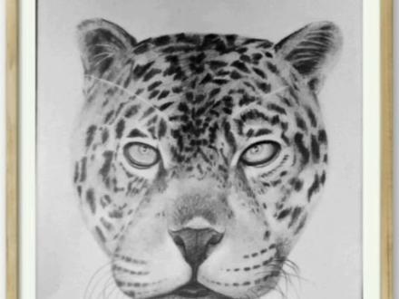 豹子怎么画?霸气又简单!30秒就教会你!#跟我一起学画画 #绘画 #宠物 #创意美术 #一起学画画 #想画就画 #艺术 #绘画 #素描 #画动物 #豹子 #简笔画 #美术 #艺术教育 #绘画过程 #画画使我快乐