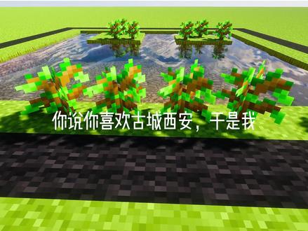 你说你喜欢古城西安,于是我 #我的世界 #minecraft#我的世界为你而建